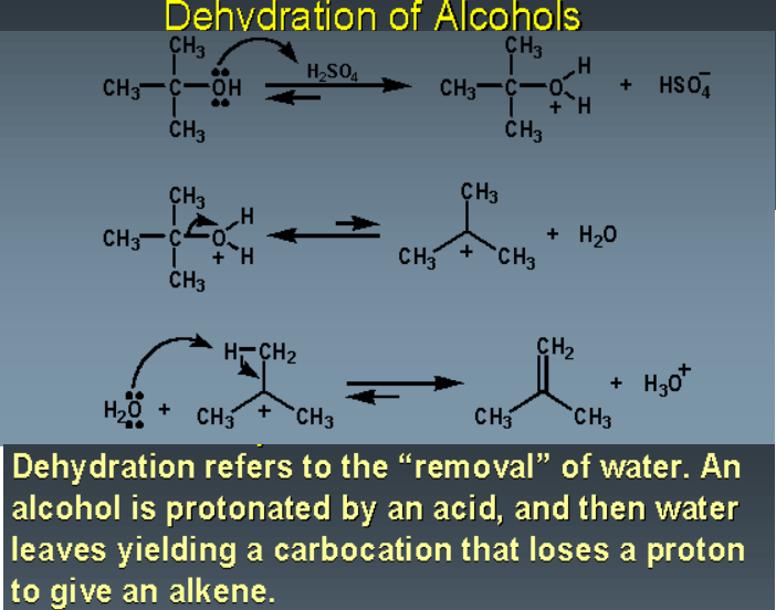 of Dehydration of Alcohols W3schools