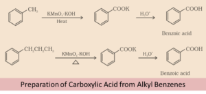 Carboxylic Acid