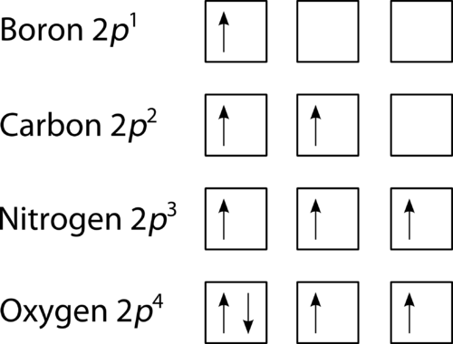 Diagram of Hund's rule in boron, carbon, nitrogen, and oxygen