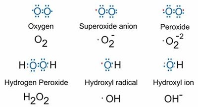 Different species of Oxygen with their oxidation states