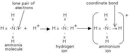 Image result for ammonium ion