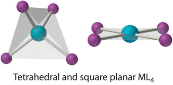 Image result for coordination number 4 tetrahedral