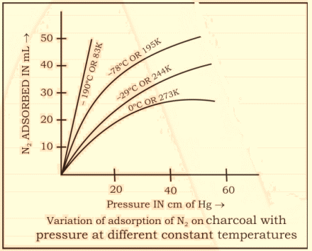 Image result for Factors affecting adsorption