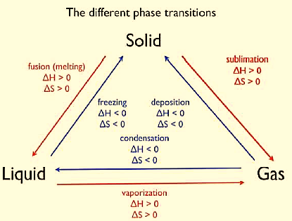 Image result for physical equilibrium