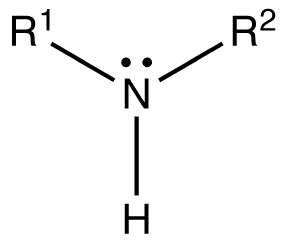 Image result for secondary  amines