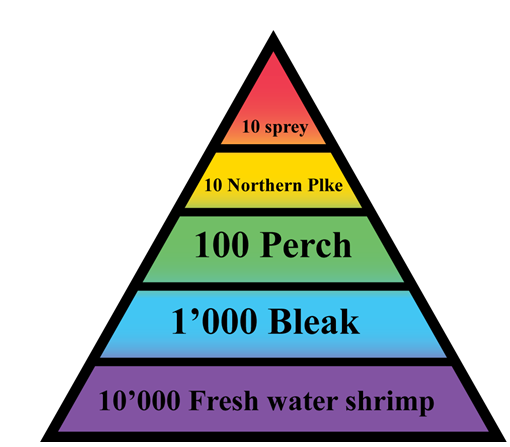 9-biomass-energy-pyramid-labeled-worksheet-worksheeto