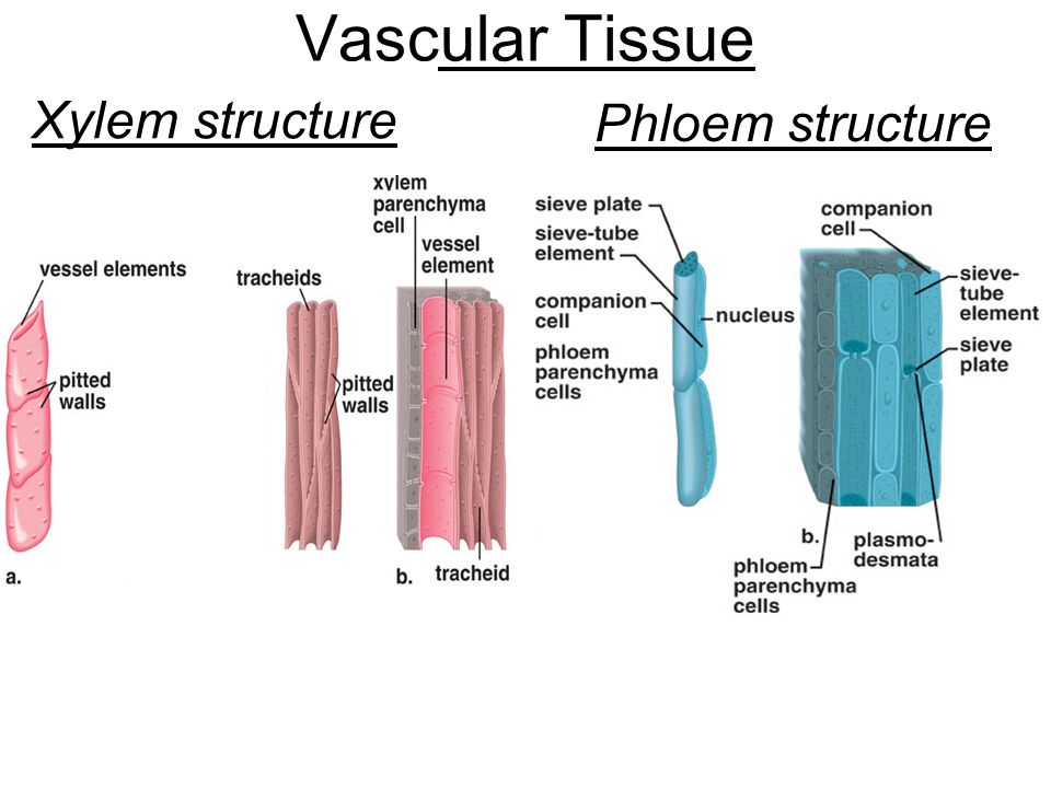 slide_16.jpg