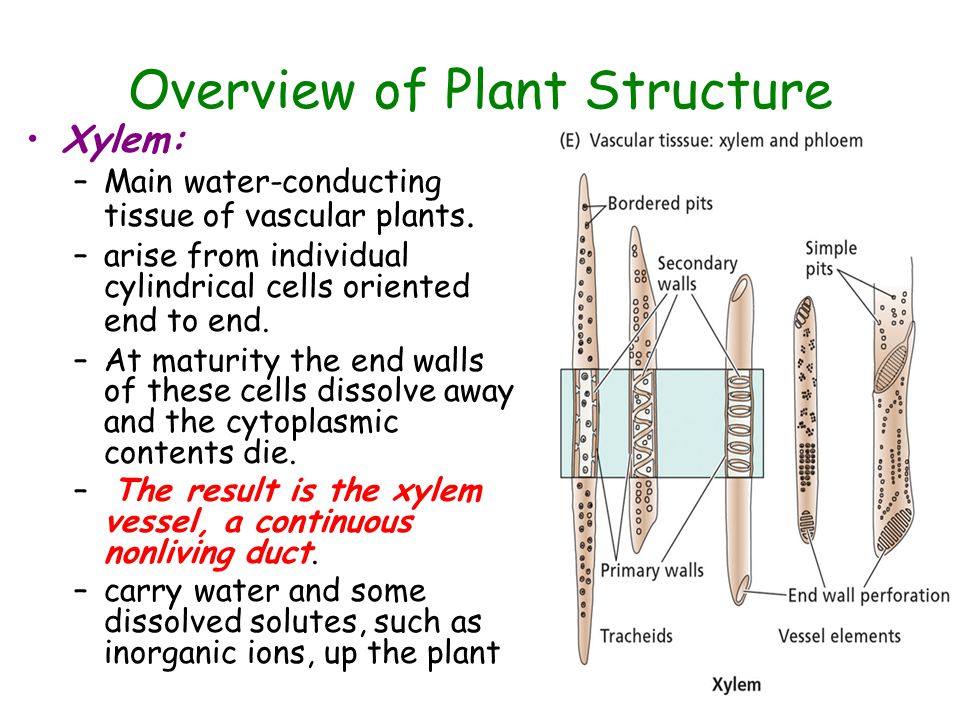 slide_8.jpg