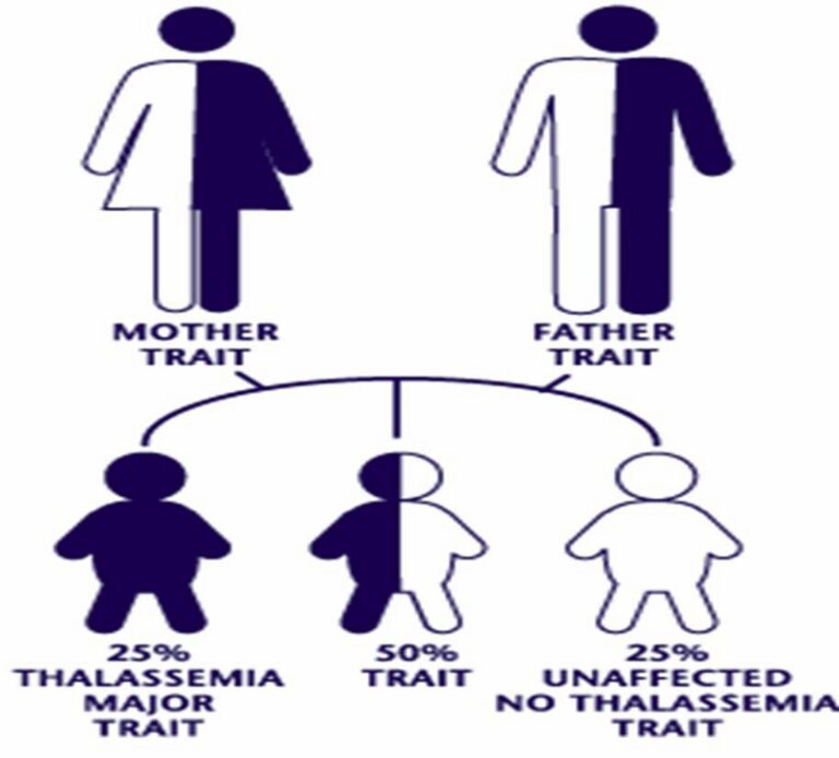 Mendelian disorder in humansThalassemia W3schools