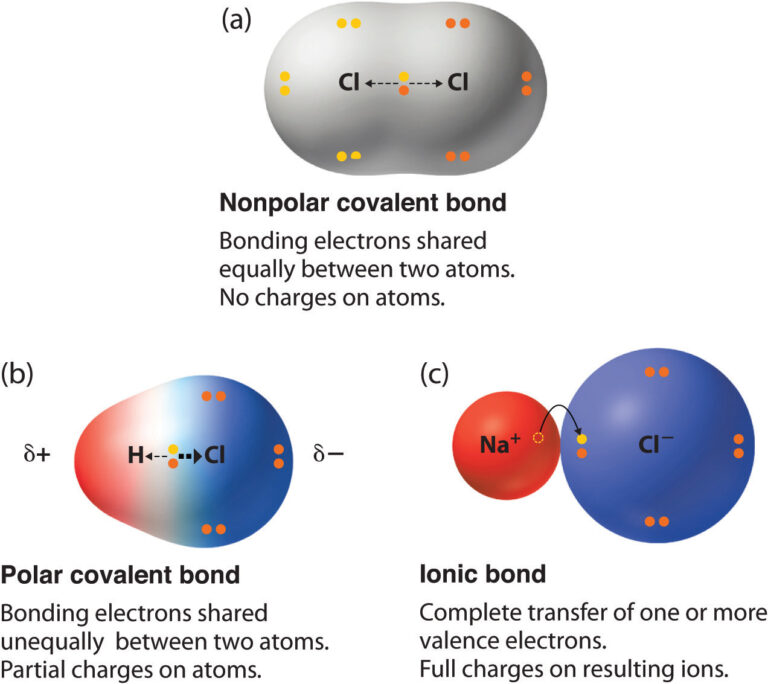 polar-character-of-covalent-bond-w3schools