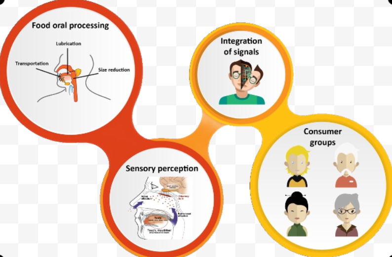 sensory perception example