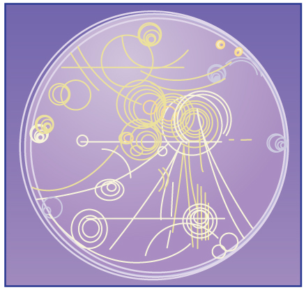 A drawing representing trails of bubbles in a bubble chamber.