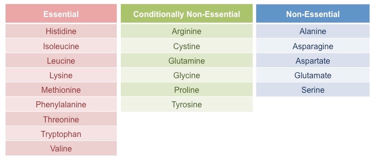 Classification of amino acids on the basis of nutrition