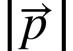 <math xmlns="http://www.w3.org/1998/Math/MathML"><mfenced open="|" close="|"><mover><mi>p</mi><mo>&#x2192;</mo></mover></mfenced></math>